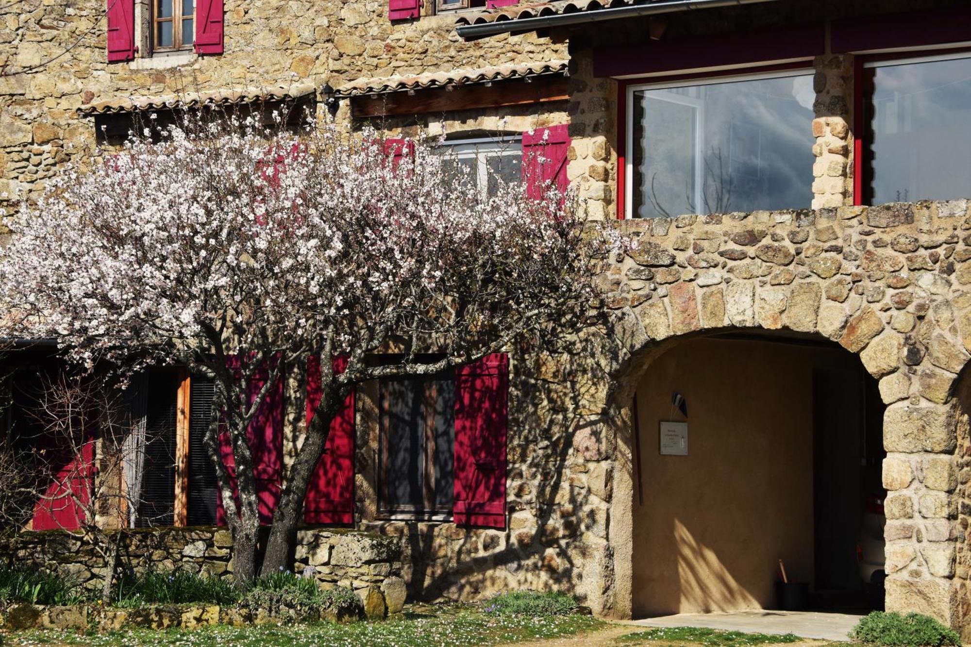 Chambre D'Hotes De Thoree Maclas Exterior foto